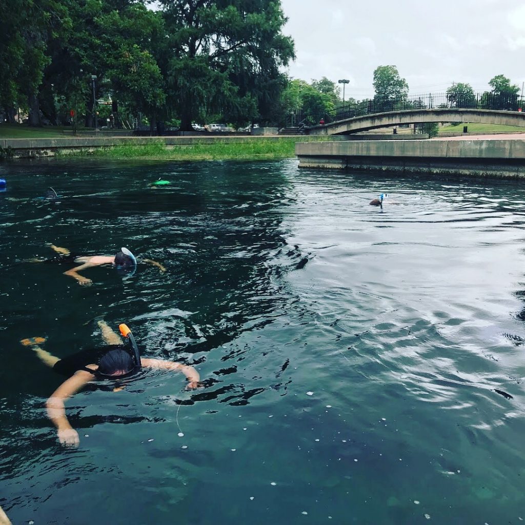 Snorkeling Sewell Park San Marcos, TX