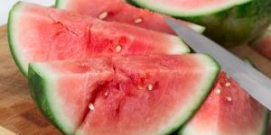 watermelon camping treat