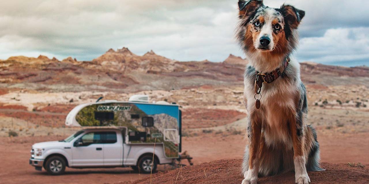 Pet-Friendly RV Parks: A Complete Guide