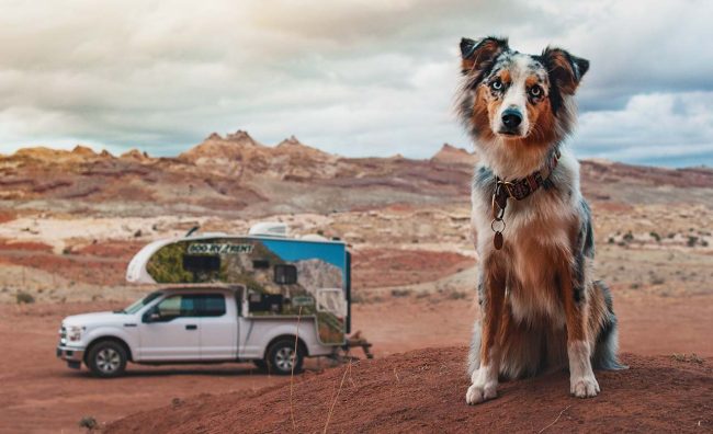 Pet-Friendly RV Parks, A Complete Guide Pet-Friendly RV Parks: A Complete Guide